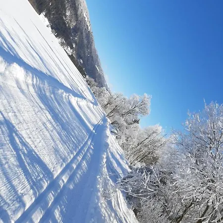 Lenzhofer Apartament Gundersheim