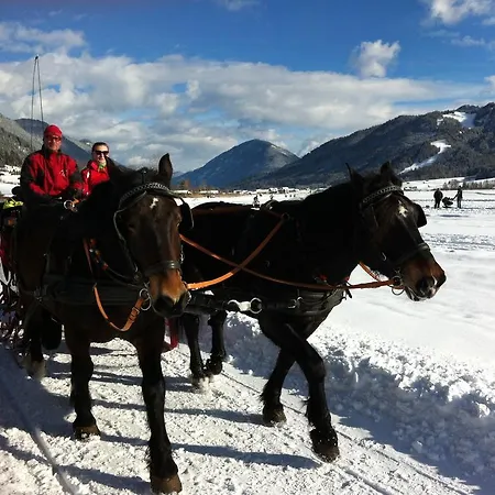 Apartament Lenzhofer Gundersheim