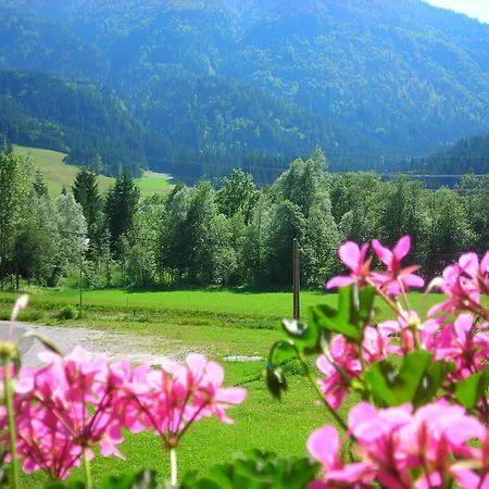 Apartament Lenzhofer *