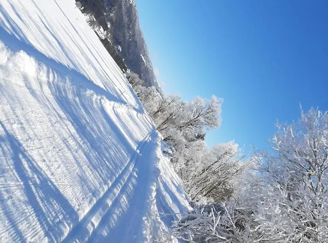 Lenzhofer Apartamento Gundersheim