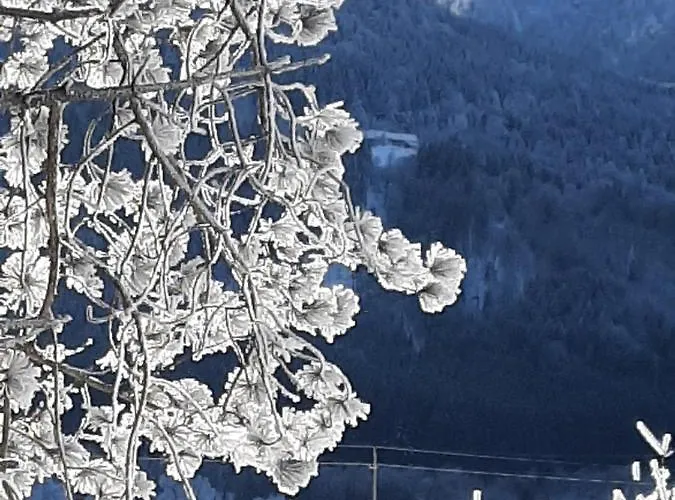 Διαμέρισμα Lenzhofer