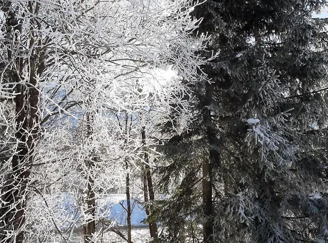 Apartamento Lenzhofer *