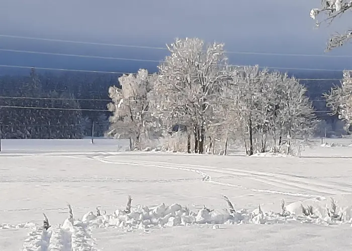 Διαμέρισμα Lenzhofer *